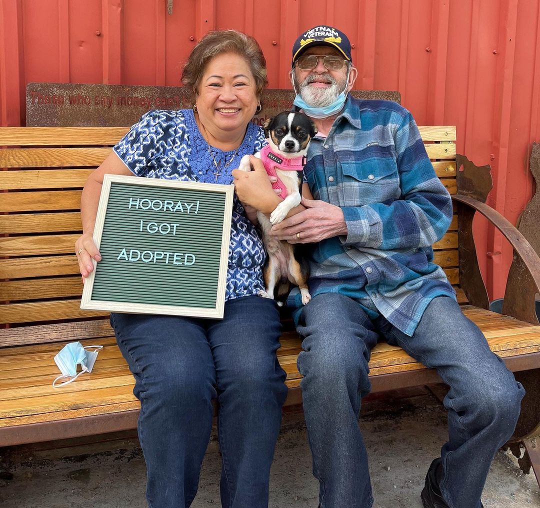 Theodore got adopted! His new parents love him so much already 💕💕💕 <a target='_blank' href='https://www.instagram.com/explore/tags/adopt/'>#adopt</a> <a target='_blank' href='https://www.instagram.com/explore/tags/happy/'>#happy</a> <a target='_blank' href='https://www.instagram.com/explore/tags/joy/'>#joy</a> <a target='_blank' href='https://www.instagram.com/explore/tags/family/'>#family</a> <a target='_blank' href='https://www.instagram.com/explore/tags/brotherwolf/'>#brotherwolf</a> <a target='_blank' href='https://www.instagram.com/explore/tags/animalrescue/'>#animalrescue</a> <a target='_blank' href='https://www.instagram.com/explore/tags/together/'>#together</a> <a target='_blank' href='https://www.instagram.com/explore/tags/companion/'>#companion</a> <a target='_blank' href='https://www.instagram.com/explore/tags/dog/'>#dog</a> <a target='_blank' href='https://www.instagram.com/explore/tags/dogsofinstagram/'>#dogsofinstagram</a> <a target='_blank' href='https://www.instagram.com/explore/tags/tiny/'>#tiny</a> <a target='_blank' href='https://www.instagram.com/explore/tags/chihuahualove/'>#chihuahualove</a> <a target='_blank' href='https://www.instagram.com/explore/tags/chihuahuasofinstagram/'>#chihuahuasofinstagram</a> <a target='_blank' href='https://www.instagram.com/explore/tags/instagood/'>#instagood</a> <a target='_blank' href='https://www.instagram.com/explore/tags/picoftheday/'>#picoftheday</a> <a target='_blank' href='https://www.instagram.com/explore/tags/dogmom/'>#dogmom</a> <a target='_blank' href='https://www.instagram.com/explore/tags/doglife/'>#doglife</a> <a target='_blank' href='https://www.instagram.com/explore/tags/dogdad/'>#dogdad</a> <a target='_blank' href='https://www.instagram.com/explore/tags/doggo/'>#doggo</a> <a target='_blank' href='https://www.instagram.com/explore/tags/dogoftheday/'>#dogoftheday</a>