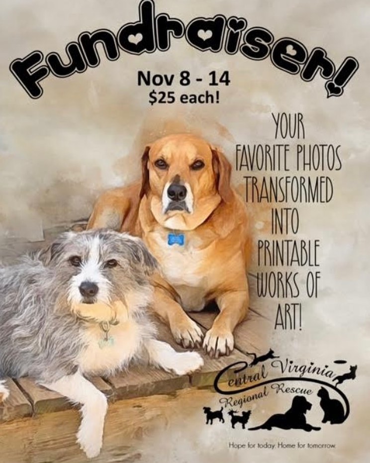Have your pet’s pic turned into a digital “oil painting.” Click below to order. https://cutt.ly/CVRRFundraiser