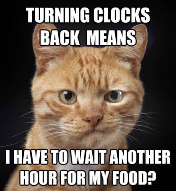 It’s daylight savings time!

Don’t forget to turn your clocks back an hour tonight!