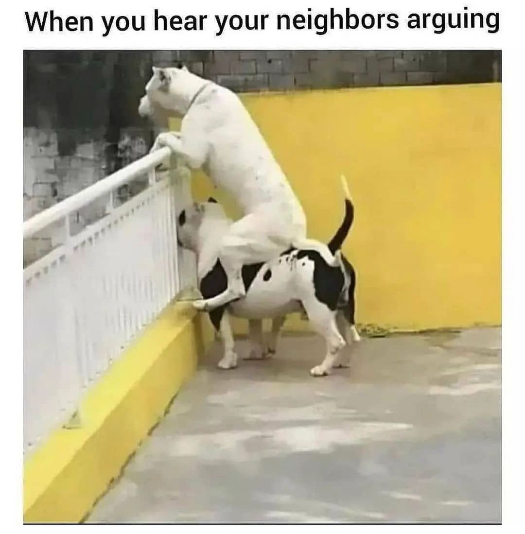 👀 <a target='_blank' href='https://www.instagram.com/explore/tags/fridayfunny/'>#fridayfunny</a>