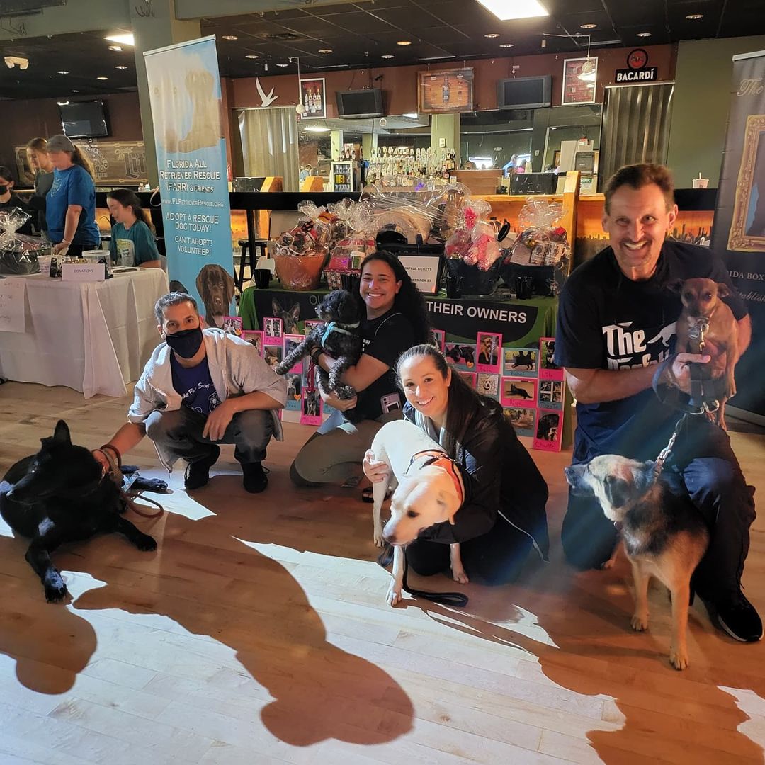 Thank you again to all the Fosters & foster parents that came out for this great adoption event. It's really great getting back to the norm where we have normal adoption events...it helps the dogs get adopted easier for people to see them in person. Thank you too @3cs_catering @thenewbarkerdogmagazine @thedallasbull for sponsoring this amaxing event