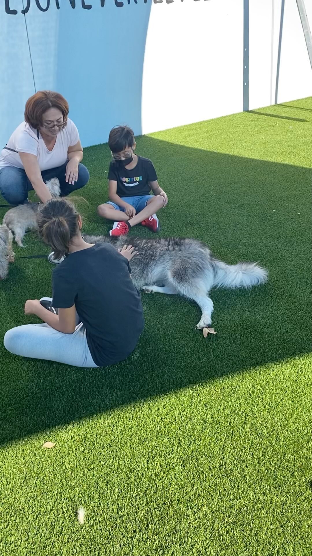 It’s a match! 🥳

Rosemary the husky <a target='_blank' href='https://www.instagram.com/explore/tags/A2006256/'>#A2006256</a> joined us at our People and Pet Innovation Center from @laanimalservices as part of our Mobile adoption program! 

Her meet and greet went extremely well with her new family of two other littles and two amazing kids! She’s on her way home with them right now! 

Our hearts are bursting for her 🥳! 
Keep an eye on our stories for adoptable shelter dogs! 

<a target='_blank' href='https://www.instagram.com/explore/tags/freedomwalk/'>#freedomwalk</a> <a target='_blank' href='https://www.instagram.com/explore/tags/freedomride/'>#freedomride</a> <a target='_blank' href='https://www.instagram.com/explore/tags/scoredattheshelter/'>#scoredattheshelter</a> <a target='_blank' href='https://www.instagram.com/explore/tags/ppic/'>#ppic</a> <a target='_blank' href='https://www.instagram.com/explore/tags/shelterdogsofinstagram/'>#shelterdogsofinstagram</a> <a target='_blank' href='https://www.instagram.com/explore/tags/ladogrescue/'>#ladogrescue</a>