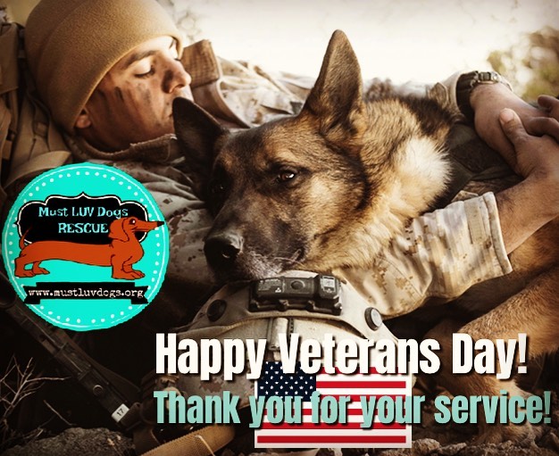 Happy Veterans Day to all of those hard working vets out there, human & canine!  Thank you for your service!  Also thanks to those families who go without seeing their loved ones over holidays & for long periods.  Their sacrifices are real too.  Also, did you know that we offer a 25% discount for all active duty veterans all year long?  We luv our vets and want to help any way we can.  Thanks to all of those vets who have adopted thru us as well!  <a target='_blank' href='https://www.instagram.com/explore/tags/hugaveteran/'>#hugaveteran</a> <a target='_blank' href='https://www.instagram.com/explore/tags/mustluvdogsrescue/'>#mustluvdogsrescue</a>🐶 <a target='_blank' href='https://www.instagram.com/explore/tags/rescueluv/'>#rescueluv</a>