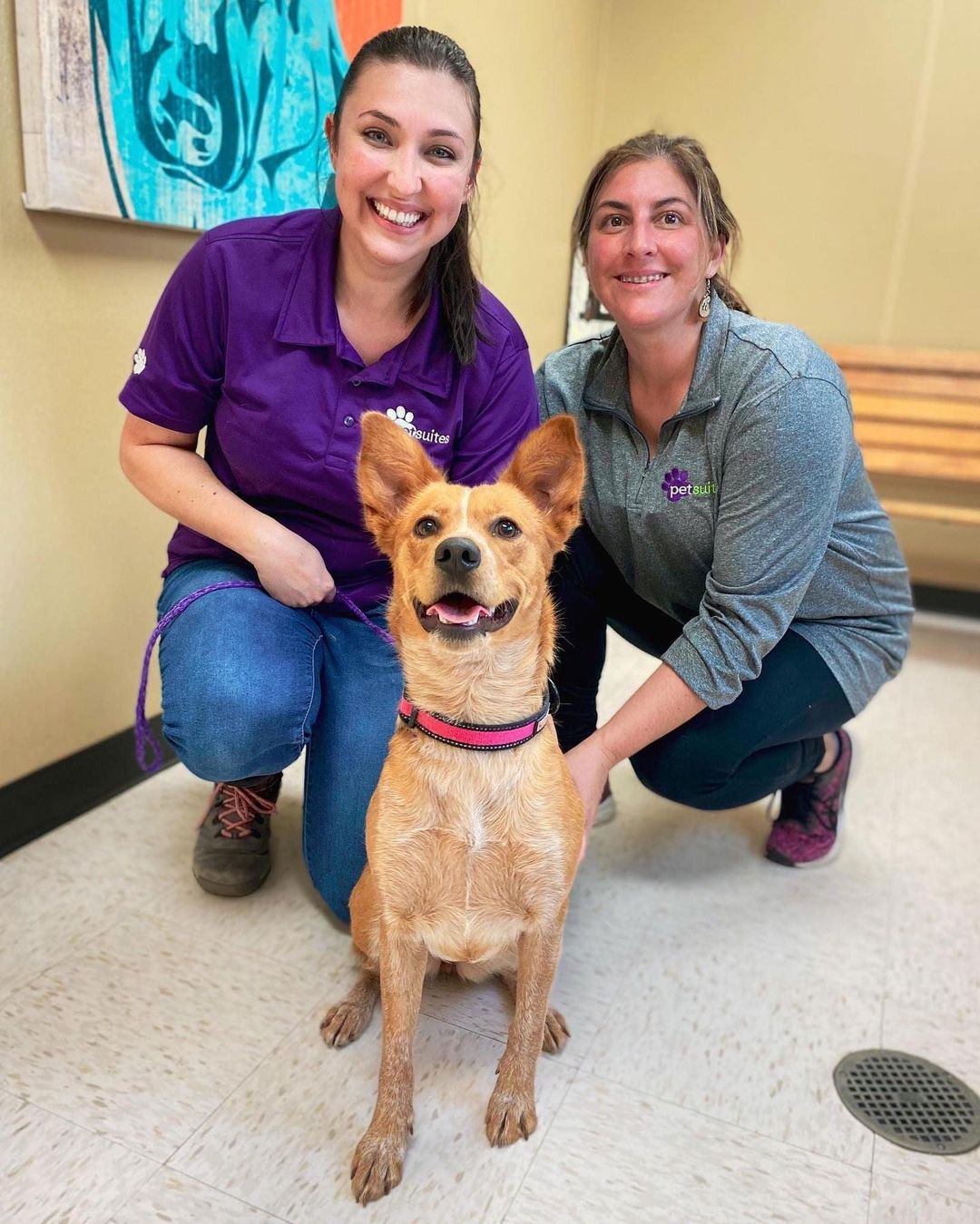 Thank you, PetSuites Long Meadow, for partnering with us and fostering Blanche! We're excited to work together. 💛