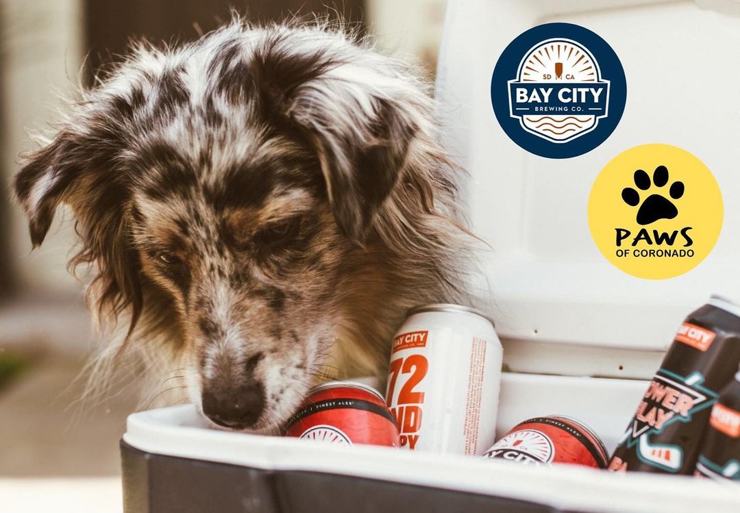 Tomorrow’s the day!
.
We are so excited to see everyone at Bay City Brewing Co. in Point Loma tomorrow from 1-4pm! 
🍻🐶☀️
<a target='_blank' href='https://www.instagram.com/explore/tags/baycitybrewingco/'>#baycitybrewingco</a> <a target='_blank' href='https://www.instagram.com/explore/tags/yappyhour/'>#yappyhour</a>