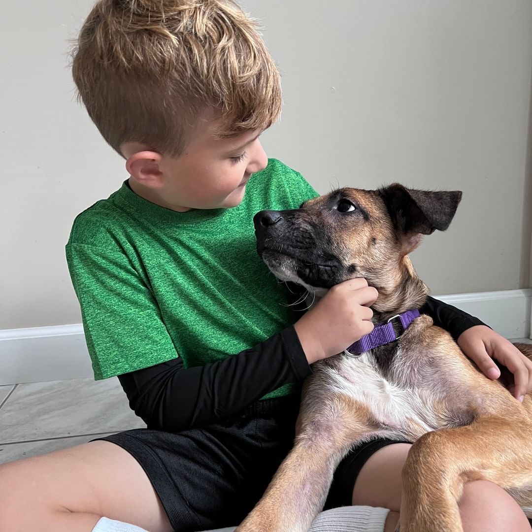 So much love to share! Harper is an approx 6-month-old, 40 lb house-trained Shepherd/Hound mix (best guess!) who is just the sweetest little girl. Her Long Island foster mom says, 