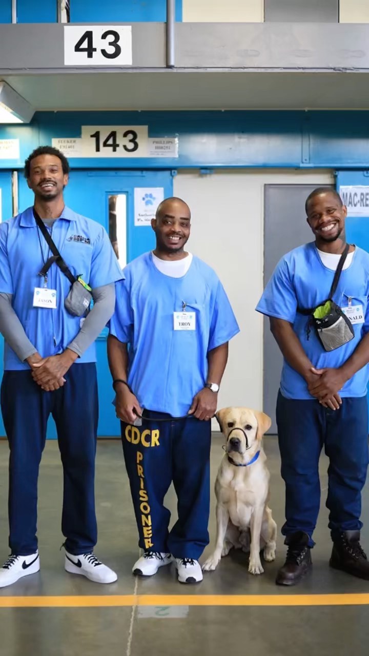 Shelter dogs in prison 💙 it’s not all we do! 

We also created the People & Pet Innovation Center to not only serve the community with free dog training classes for all, but as a place for our formerly incarcerated trainers to come after release and be supported by us as they transition into the real world. 

Sign up for FREE training classes now! Head over to the link in our bio. 

<a target='_blank' href='https://www.instagram.com/explore/tags/savinglivesoneverylevel/'>#savinglivesoneverylevel</a>  <a target='_blank' href='https://www.instagram.com/explore/tags/ladogrescue/'>#ladogrescue</a> <a target='_blank' href='https://www.instagram.com/explore/tags/shelterdogs/'>#shelterdogs</a> <a target='_blank' href='https://www.instagram.com/explore/tags/prisontrainingprogram/'>#prisontrainingprogram</a> <a target='_blank' href='https://www.instagram.com/explore/tags/makingamends/'>#makingamends</a> <a target='_blank' href='https://www.instagram.com/explore/tags/prisondogs/'>#prisondogs</a> <a target='_blank' href='https://www.instagram.com/explore/tags/cdcr/'>#cdcr</a>