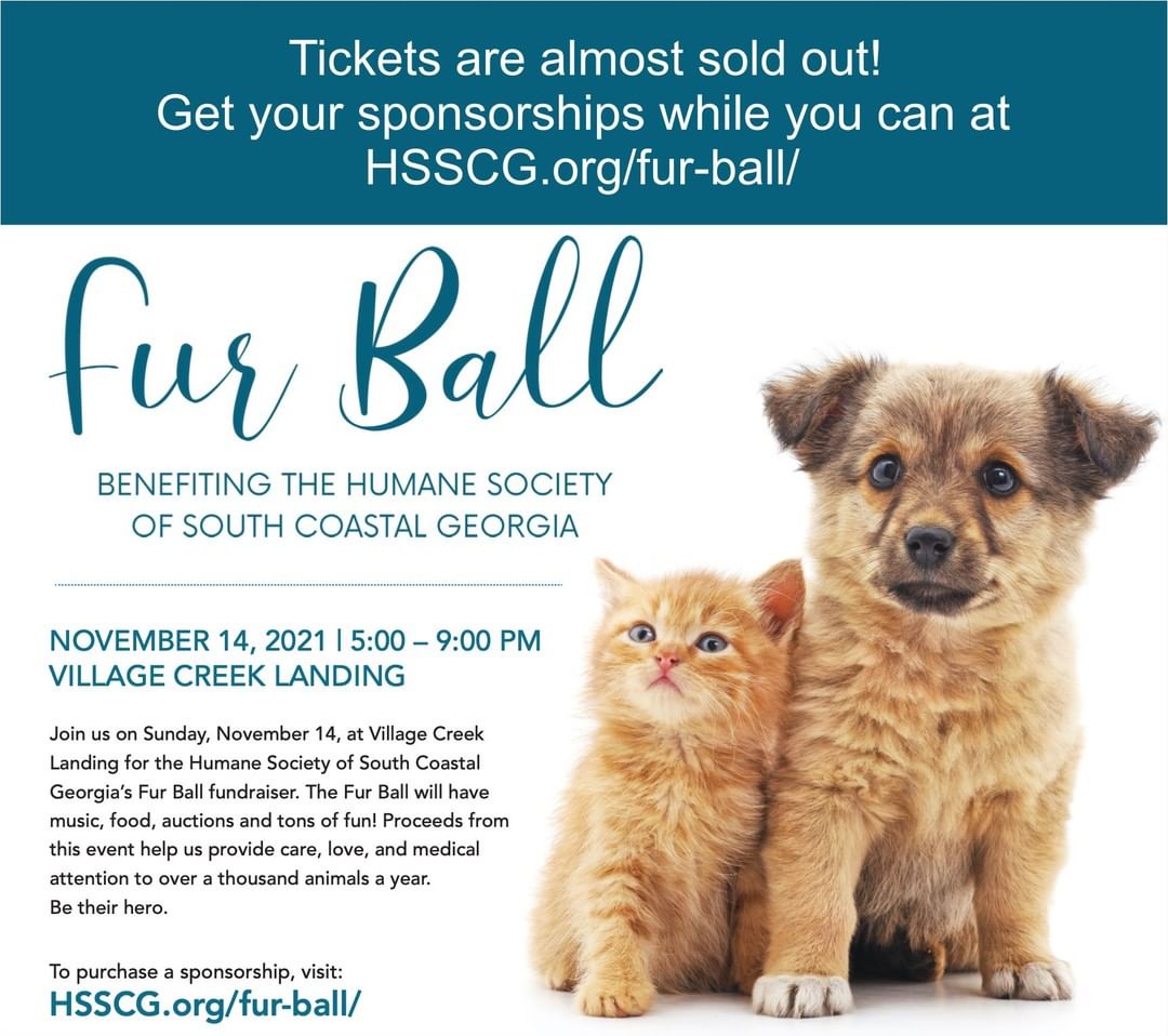 The Fur Ball is just 5 days away! With food, auctions, and music by the Kinchafoonee Cowboys, this is not an event you will want to miss. Support animals in need... purchase your sponsorship TODAY!
HSSCG.org/fur-ball/
------------
<a target='_blank' href='https://www.instagram.com/explore/tags/stsimonsisland/'>#stsimonsisland</a> <a target='_blank' href='https://www.instagram.com/explore/tags/stsimons/'>#stsimons</a> <a target='_blank' href='https://www.instagram.com/explore/tags/seaisland/'>#seaisland</a> <a target='_blank' href='https://www.instagram.com/explore/tags/jekyll/'>#jekyll</a> <a target='_blank' href='https://www.instagram.com/explore/tags/jekyllisland/'>#jekyllisland</a> <a target='_blank' href='https://www.instagram.com/explore/tags/brunswick/'>#brunswick</a> <a target='_blank' href='https://www.instagram.com/explore/tags/goldenisles/'>#goldenisles</a> <a target='_blank' href='https://www.instagram.com/explore/tags/jacksonville/'>#jacksonville</a> <a target='_blank' href='https://www.instagram.com/explore/tags/savannahgeorgia/'>#savannahgeorgia</a> <a target='_blank' href='https://www.instagram.com/explore/tags/savannah/'>#savannah</a> <a target='_blank' href='https://www.instagram.com/explore/tags/humanesociety/'>#humanesociety</a> <a target='_blank' href='https://www.instagram.com/explore/tags/adoptdontshop/'>#adoptdontshop</a> <a target='_blank' href='https://www.instagram.com/explore/tags/nonproft/'>#nonproft</a> <a target='_blank' href='https://www.instagram.com/explore/tags/furball/'>#furball</a> <a target='_blank' href='https://www.instagram.com/explore/tags/hsscg/'>#hsscg</a>