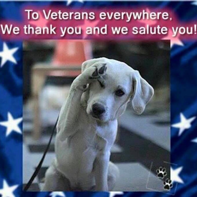 🇺🇸 <a target='_blank' href='https://www.instagram.com/explore/tags/veteransday/'>#veteransday</a>