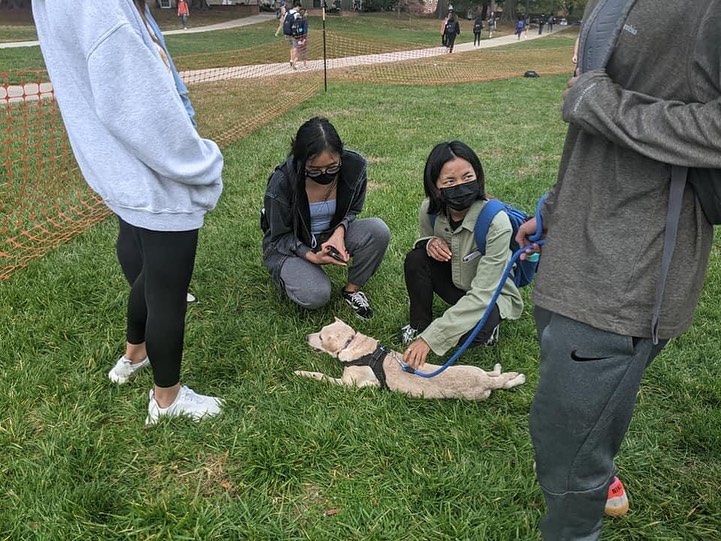 We're having a great time at McKeldin Mall University of Maryland with Tasca’s Love at the Delta Dogs event on this gorgeous day! The dogs are getting so much attention and all the students are getting some puppy love! Pretty sure Sugar's paws never touched the ground since she's been here. 😂 💗 A big thank you to Brendon, Delta Sig and KD for organizing this awesome event!

<a target='_blank' href='https://www.instagram.com/explore/tags/deltasig/'>#deltasig</a> <a target='_blank' href='https://www.instagram.com/explore/tags/deltasigmaphi/'>#deltasigmaphi</a> <a target='_blank' href='https://www.instagram.com/explore/tags/dogsarelife/'>#dogsarelife</a>