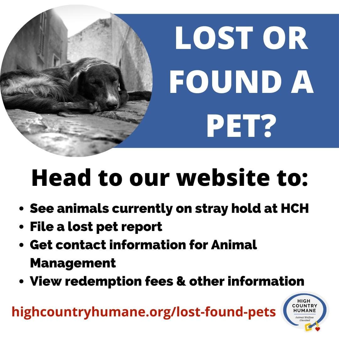 Don't know what to do when you've either LOST or FOUND a pet? Our lost & found page on our website is dedicated to helping families reunite with their pets! 🐾

Every stray animal we get at HCH will be held for 3-5 days, giving owners time to come forward & redeem their pet. Pictures & basic info on each animal is posted on our website.

If you have lost a pet, check the site on a DAILY basis, you never know when your pet might show up! The page also has info on redemption, fees, etc.

**If you have found a stray animal and cannot keep it or bring it in to us, PLEASE call Animal Management for assistance.

LINK IN BIO.

<a target='_blank' href='https://www.instagram.com/explore/tags/adoptdontshop/'>#adoptdontshop</a> <a target='_blank' href='https://www.instagram.com/explore/tags/pets/'>#pets</a> <a target='_blank' href='https://www.instagram.com/explore/tags/adoptashelterpet/'>#adoptashelterpet</a> <a target='_blank' href='https://www.instagram.com/explore/tags/shelterpet/'>#shelterpet</a> <a target='_blank' href='https://www.instagram.com/explore/tags/shelterpetsofinstagram/'>#shelterpetsofinstagram</a> <a target='_blank' href='https://www.instagram.com/explore/tags/animalshelter/'>#animalshelter</a> <a target='_blank' href='https://www.instagram.com/explore/tags/animalrescue/'>#animalrescue</a> <a target='_blank' href='https://www.instagram.com/explore/tags/humanesociety/'>#humanesociety</a> <a target='_blank' href='https://www.instagram.com/explore/tags/highcountryhumane/'>#highcountryhumane</a> <a target='_blank' href='https://www.instagram.com/explore/tags/flagstaff/'>#flagstaff</a> <a target='_blank' href='https://www.instagram.com/explore/tags/flagstaffarizona/'>#flagstaffarizona</a> <a target='_blank' href='https://www.instagram.com/explore/tags/arizona/'>#arizona</a>