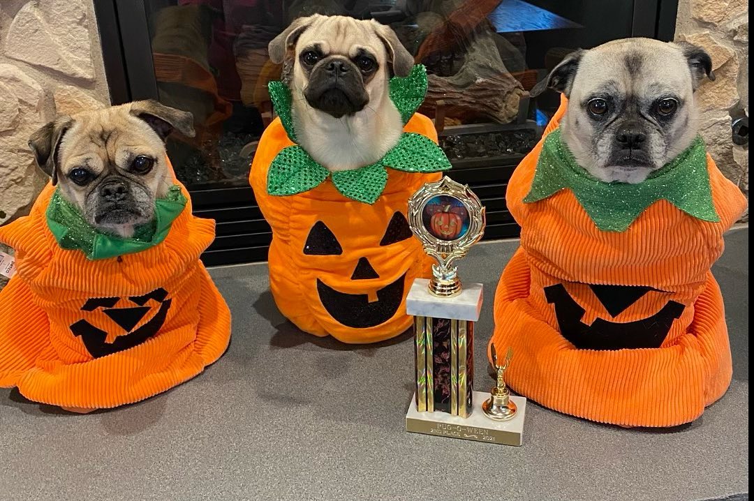 Here is our 2nd place winner for Howlin and Growlin Grumbles contest!🎃