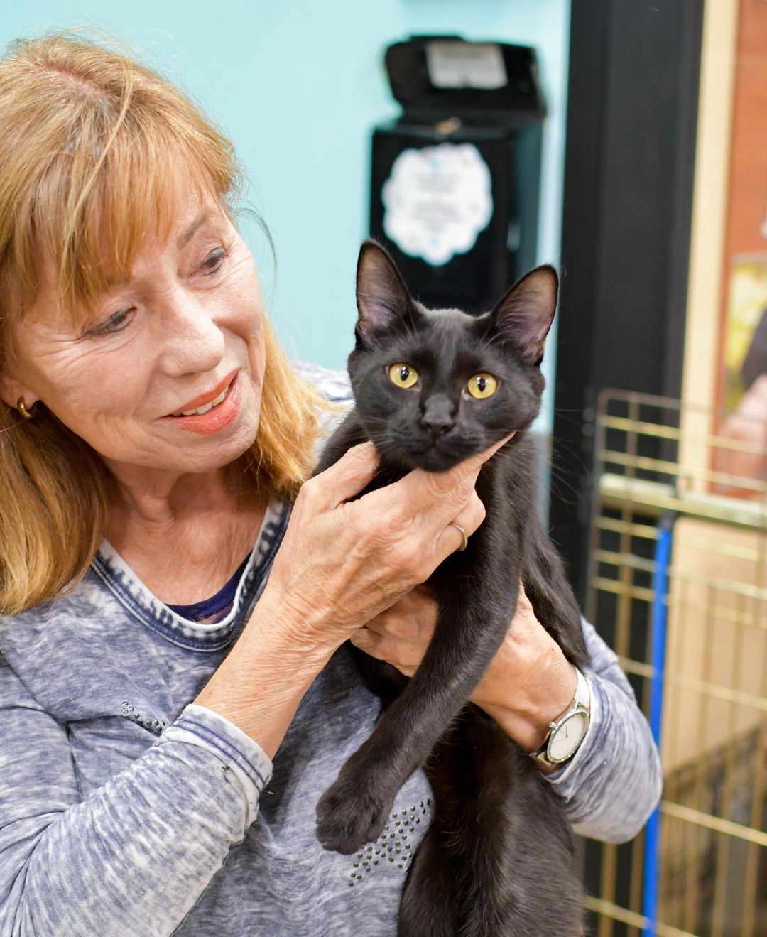 Every Furkid is special, but our Perimeter PetSmart kitties are taking the spotlight tonight!😻

We have no doubt that Randolf (who actually got adopted today!!) Mortimer, Lyra, Kip, Taffy and Pepper will be great pets, and we’re shocked these babies haven’t found homes yet! Lesley and Jan, our PetSmart volunteers, couldn’t say enough loving words about each cat: Kip is incredibly playful, Mortimer instantly cuddles up on your lap, Lyra is the queen of her cat tree castle, Pepper has a special spunk and confidence, and so much more. We’d go on, but you’ll have to meet these guys in person to experience all the love they can give! Help us give these angels a second chance during @petsmartcharities National Adoption Week! (Link in story to adopt). Thank you! 🧡🐾