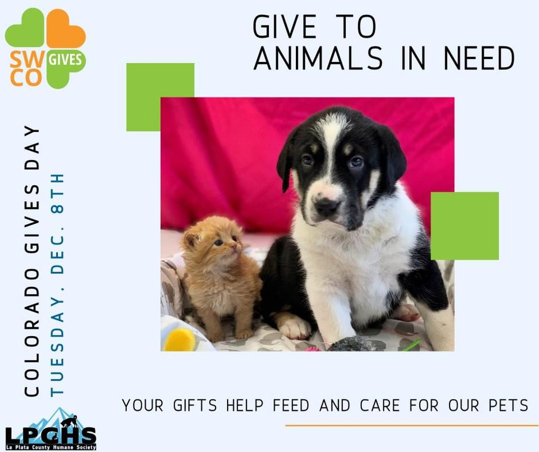 @swcogives Day is less than a month away! This is Colorado’s biggest day of giving and is a very important day for our animals 🐾 Gifts from <a target='_blank' href='https://www.instagram.com/explore/tags/coloradogivesday/'>#coloradogivesday</a> helps us continue to provide necessary and lifesaving programs to the 3,000+ homeless and neglected animals that come into our care each year.

Schedule your donation today by visiting swcogives.org and make a life changing impact on an animal’s life.

<a target='_blank' href='https://www.instagram.com/explore/tags/lpchs/'>#lpchs</a> <a target='_blank' href='https://www.instagram.com/explore/tags/givewhereyoulive/'>#givewhereyoulive</a> <a target='_blank' href='https://www.instagram.com/explore/tags/swcogivesday/'>#swcogivesday</a> <a target='_blank' href='https://www.instagram.com/explore/tags/fortheanimals/'>#fortheanimals</a>