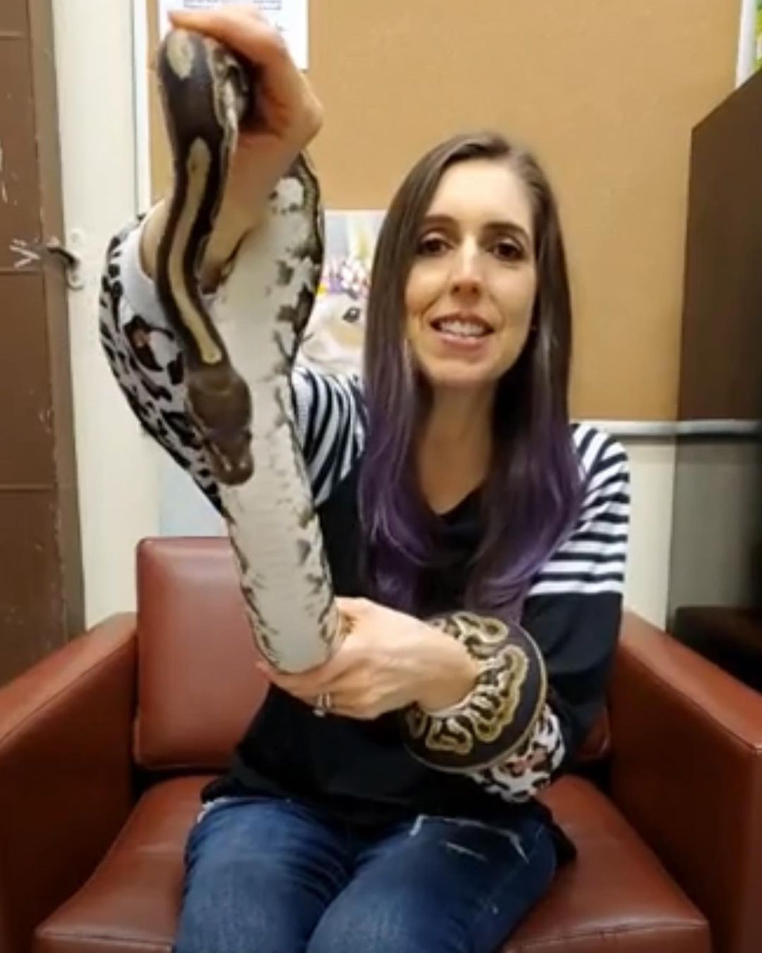 We always love it when @973stephanie from @973theeagle comes to visit us! Today we ssssssurprissed her with a different kind of animal 🐍 Princess the ball python for “Fearless Friday”! We think Stephanie did excellent, don’t you?!

Interested in adopting Princess? Make sure you do your homework on all she needs then come by the Norfolk Animal Care Center! We’re open 12-4:30 this Saturday & Sunday!

<a target='_blank' href='https://www.instagram.com/explore/tags/adoptnacc/'>#adoptnacc</a> <a target='_blank' href='https://www.instagram.com/explore/tags/fosternacc/'>#fosternacc</a> 
☎️ 757-441-5505
📧 nacc@norfolk.gov
📍 5585 Sabre Road Norfolk, Virginia 23502