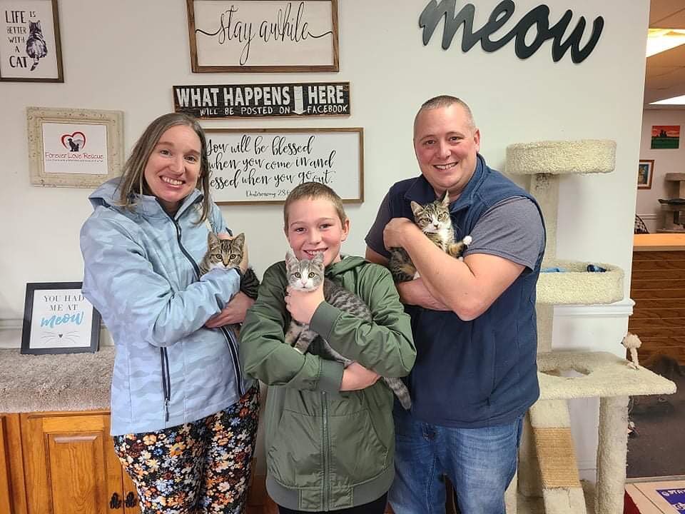 Natalie and Jeff came in to get their son a kitten. And they left with a kitten for each of them!  Happy TRIPLE Adoption Day to Acorn, Apple Blossom and Cinnabun!!! What a fun way to end our day! Many thanks and congratulations!  <a target='_blank' href='https://www.instagram.com/explore/tags/whywedowhatwedo/'>#whywedowhatwedo</a> <a target='_blank' href='https://www.instagram.com/explore/tags/TeamForeverLove/'>#TeamForeverLove</a> <a target='_blank' href='https://www.instagram.com/explore/tags/CatsOfGettysburg/'>#CatsOfGettysburg</a>