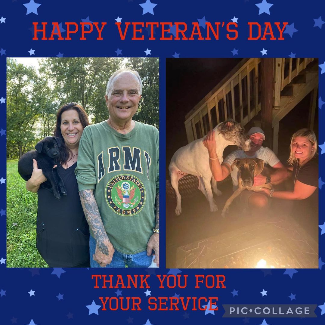 Happy Veterans Day 

We want to honor all who served for their bravery and thank them for their service not just today, but everyday.

Here at cross your paws we have a special program called “Pups of Appreciation