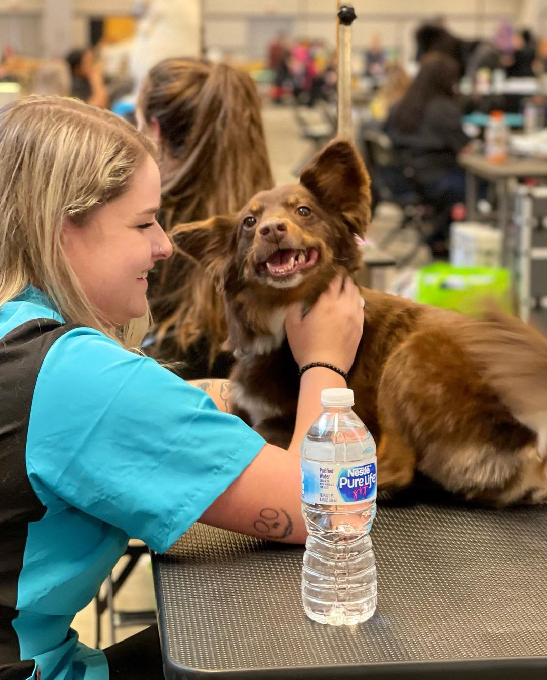 An extra special shout-out to everyone who spent the weekend treating our adoptable and alumni animals with extra love and tenderness, from Winston’s new bestie Jess at @bellareesephotography, groomers Grace Blank, Jori Deal with @pamperedpawsnclawsgrooming, and Mikayla Marotta, judges @jorge_bendersky and @tedraedwards, to our neighbors at @subzeroicecreamshadyside!