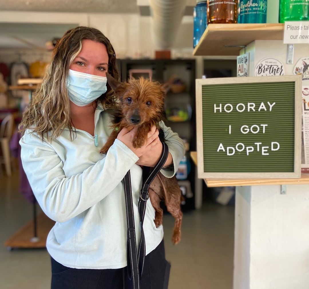 Senior dog ‘Cooper’ now has a mom to call his own, a warm house to sleep in, and will never go hungry again. ❤️🏠🐾<a target='_blank' href='https://www.instagram.com/explore/tags/senior/'>#senior</a> <a target='_blank' href='https://www.instagram.com/explore/tags/greymuzzle/'>#greymuzzle</a> <a target='_blank' href='https://www.instagram.com/explore/tags/dog/'>#dog</a> <a target='_blank' href='https://www.instagram.com/explore/tags/asheville/'>#asheville</a> <a target='_blank' href='https://www.instagram.com/explore/tags/dogsofinstagram/'>#dogsofinstagram</a> <a target='_blank' href='https://www.instagram.com/explore/tags/senior/'>#senior</a> <a target='_blank' href='https://www.instagram.com/explore/tags/seniordog/'>#seniordog</a> <a target='_blank' href='https://www.instagram.com/explore/tags/instagood/'>#instagood</a> <a target='_blank' href='https://www.instagram.com/explore/tags/picoftheday/'>#picoftheday</a> <a target='_blank' href='https://www.instagram.com/explore/tags/brotherwolf/'>#brotherwolf</a> <a target='_blank' href='https://www.instagram.com/explore/tags/animalrescue/'>#animalrescue</a> <a target='_blank' href='https://www.instagram.com/explore/tags/together/'>#together</a> <a target='_blank' href='https://www.instagram.com/explore/tags/dogmom/'>#dogmom</a> <a target='_blank' href='https://www.instagram.com/explore/tags/dogmodel/'>#dogmodel</a> <a target='_blank' href='https://www.instagram.com/explore/tags/dogmomlife/'>#dogmomlife</a> <a target='_blank' href='https://www.instagram.com/explore/tags/family/'>#family</a> <a target='_blank' href='https://www.instagram.com/explore/tags/joy/'>#joy</a> <a target='_blank' href='https://www.instagram.com/explore/tags/adopt/'>#adopt</a> <a target='_blank' href='https://www.instagram.com/explore/tags/doggo/'>#doggo</a> <a target='_blank' href='https://www.instagram.com/explore/tags/cooper/'>#cooper</a>