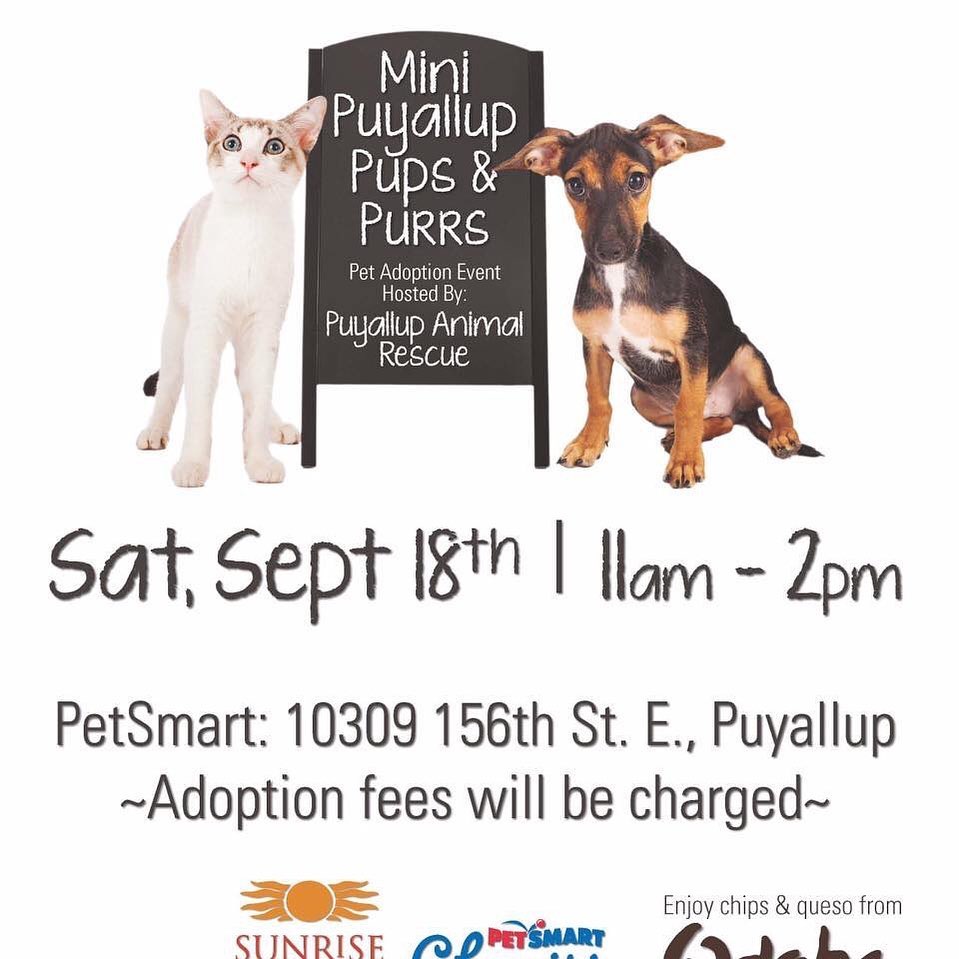 Puyallup Pups and Purrs:
November 13th and 14th 
From 10am - 2pm. 

PetSmart
10309 156th St East
Puyalup, WA
Several rescue groups will have puppies, kittens, cats and dogs available for adoption. 

Come join the four legged event right outside PetSmart at Sunrise Village under a massive tent (so weather won't be an issue!)
<a target='_blank' href='https://www.instagram.com/explore/tags/puyallupanimalrescue/'>#puyallupanimalrescue</a> <a target='_blank' href='https://www.instagram.com/explore/tags/adoptionevent/'>#adoptionevent</a> <a target='_blank' href='https://www.instagram.com/explore/tags/2021/'>#2021</a> <a target='_blank' href='https://www.instagram.com/explore/tags/adoptionevent2021/'>#adoptionevent2021</a> <a target='_blank' href='https://www.instagram.com/explore/tags/petsmart10309/'>#petsmart10309</a> <a target='_blank' href='https://www.instagram.com/explore/tags/pupsandpurrs2021/'>#pupsandpurrs2021</a>