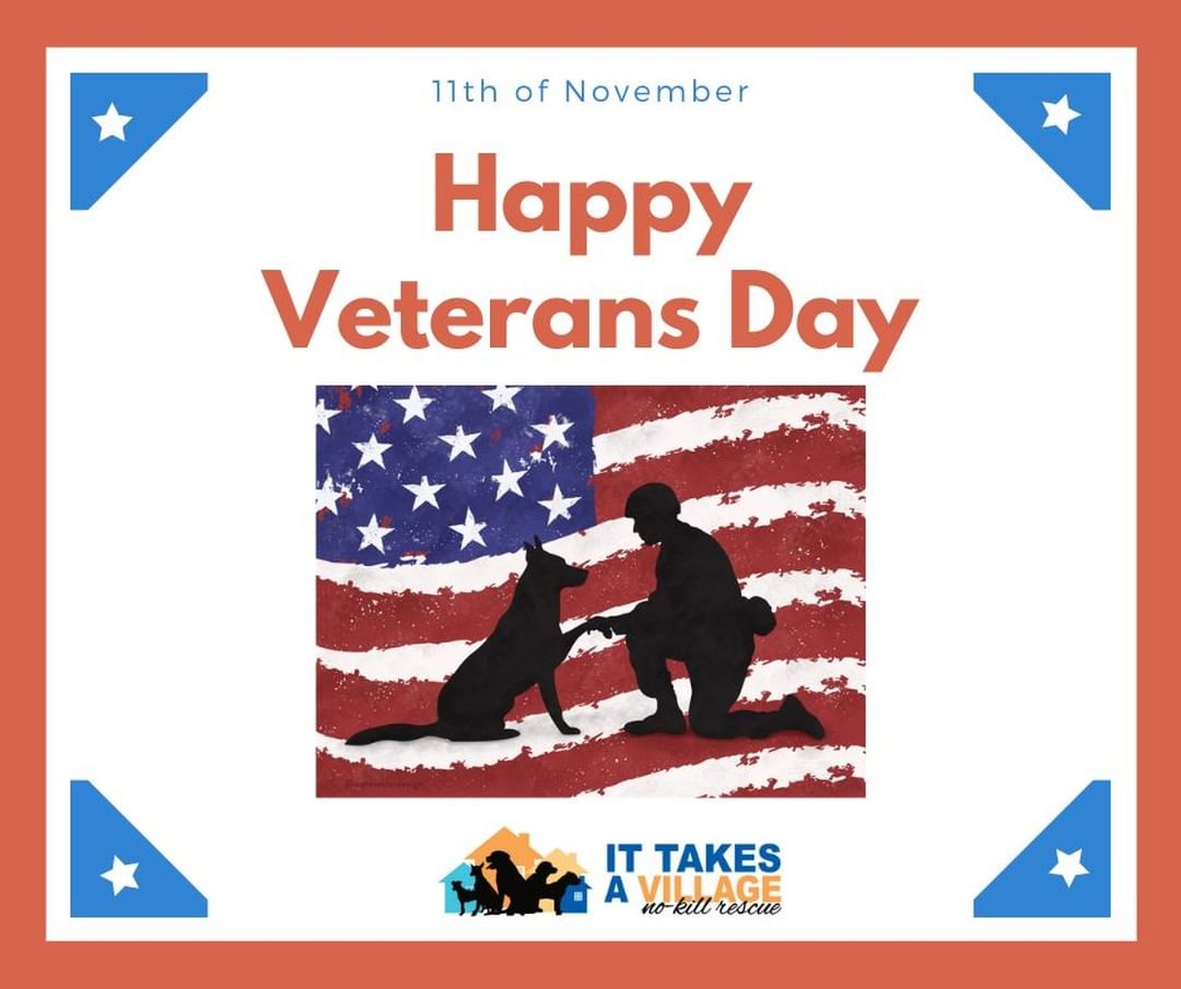 Thank you for your service veterans!!!