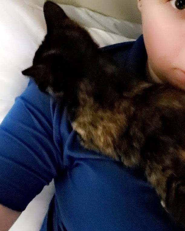 While this doesn't happen often; it seems we adopted out a parrot under the guise of a kitten! Ember (formerly Eudora) absolutely adores her new momma Brittany and prefers to either perch on her shoulder or snuggle into her arm. She takes 