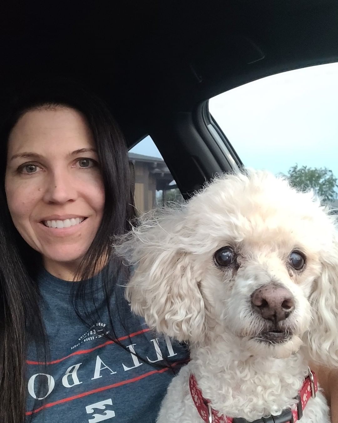 PART ONE of TWO: Happy is celebrating his SECOND Frostiversary!
 
Happy found himself at the shelter after his owner became ill. He stayed positive through it all and quickly after arriving at Frosted Faces caught the eye of volunteer Kerry. Check out what they have been up to:
 
“We try to celebrate every day with Happy! For Happy's Frostiversary, we plan on getting together with his fellow FF friends. But first, Happy will want to start his day out by going to Starbucks for his puppiccino. The local winery or the dog park will be on the list of places to go for the day. Happy is not picky on where he goes or what he does, as long as he is with his Mom.
 
We no longer dine out, unless the restaurant accommodates dogs. Happy goes everywhere we go, except for work. He has even been to the car dealerships when we have bought our new cars. Happy has to test the cars out as well!
 
Happy loves food!!! Puppiccinnos and treats from Kahoots Pet Food Store are his favorite! Favorite activities include car rides, as long as it's not going to the vet's office!!! Walking our neighborhood, as long as we get a lift back home because walking back home is no fun. But Happy's favorite place on Earth is Kahoot's! They all know him there and treat him as if he is royalty. They say Happy should be their mascot. Last Christmas, Happy gave the Kahoot's team members a box of chocolate candy and a Christmas card with his pic on it. The team members still have his picture card hanging up in their break room. Happy is just a Happy little dude and a Mama's boy.
<a target='_blank' href='https://www.instagram.com/explore/tags/ffhappy/'>#ffhappy</a> <a target='_blank' href='https://www.instagram.com/explore/tags/frostedfaces/'>#frostedfaces</a> <a target='_blank' href='https://www.instagram.com/explore/tags/seniordogsrock/'>#seniordogsrock</a>