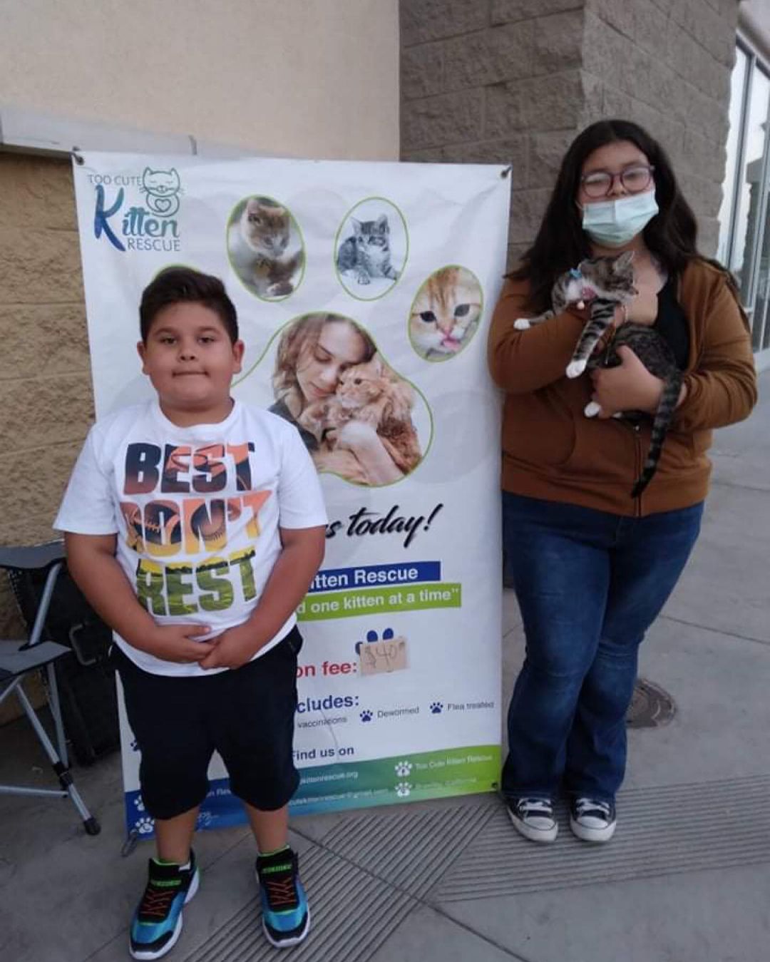 6 kittens found their forever homes today 💜❤️ Wishing them lots of love in their new homes.