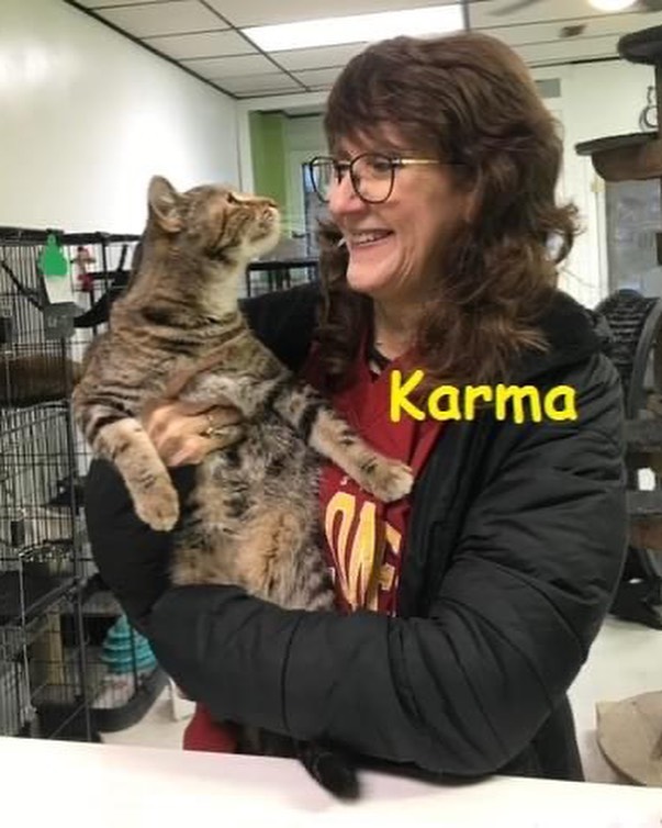 WEEKLY ADOPTION UPDATE - Seven kitties were adopted and are all snuggled into their new homes this week.  Congratulations to Roxie, Luciffa, Cybill & Karma (went together), Bellatrix (adopted by her foster mom), Stormy, and Maxine! (Maxine had been waiting for close to a year and a half so we are especially thrilled for her!) We wish you and your new families the very very best! 💛💛💛