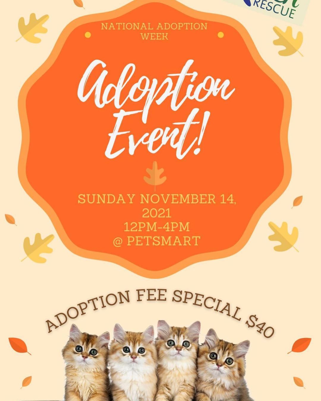 🚨DONT FORGET🚨 $40 adoption fee for todays event!!! Petsmart El Centro. KITTENS! ❤️❤️❤️❤️ Ready for forever homes. Noon- 4 outside. Come say Hi 👋