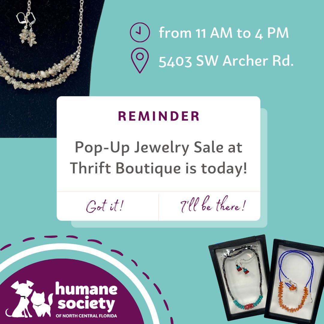 It's hard to forget such a sparkly sale, but in case you didn't mark your calendars: the Pop-Up Jewelry Sale at our Thrift Boutique on Archer is today! Browse beautiful handmade jewelry and discover some true gems of savings ✨