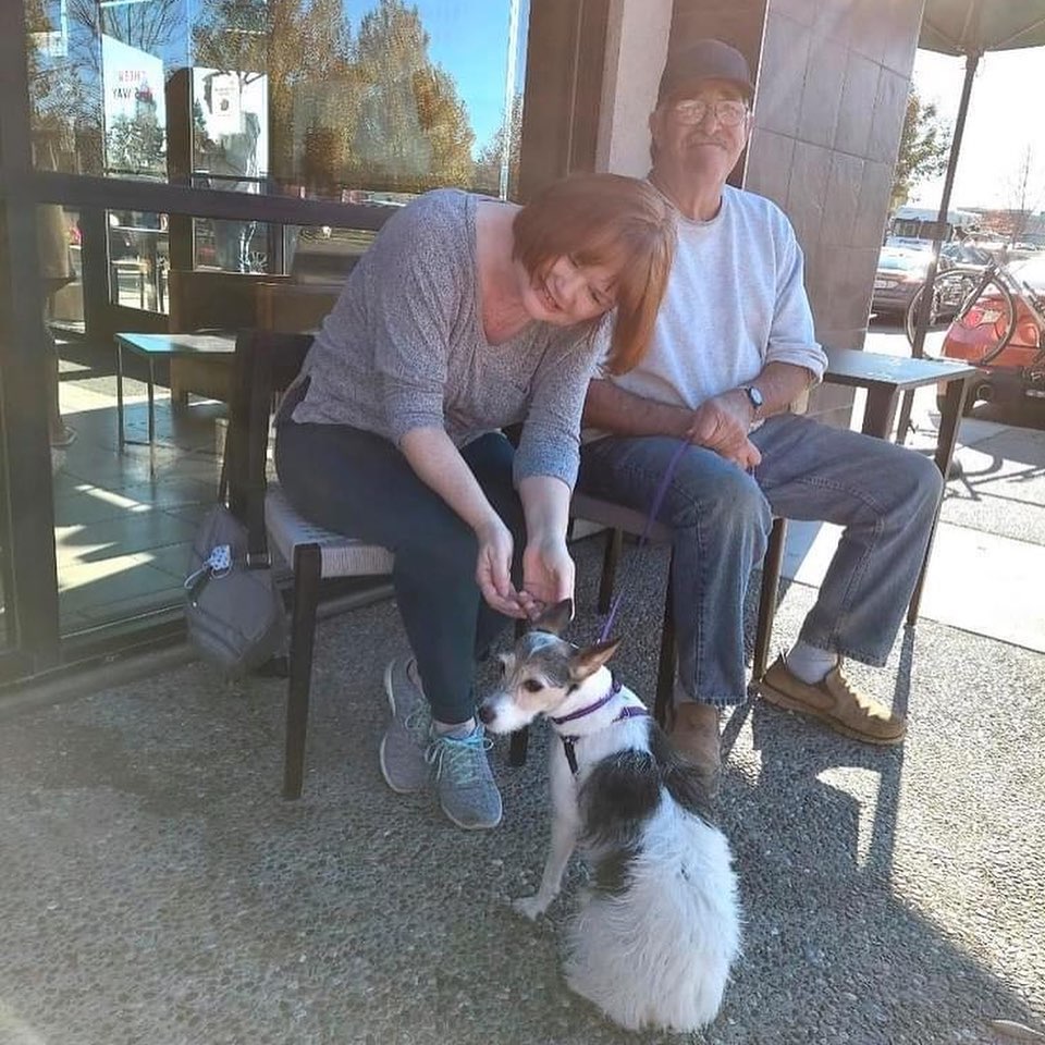 💜We are thrilled to announce these adoptions💜We have Songbird EltonJohn. Her fosters fell in love with her and decided she’s not going anywhere. Also adopted this week is Daiquiri Cocktail and Bellini Cocktail. 
Mojito cocktail (white poodle) mimosa (kitten), sweet Angeline, Boomerang cocktail, Streaker 11, Faina, and Old friend! ❤️
Thank you for choosing to adopt 🐾