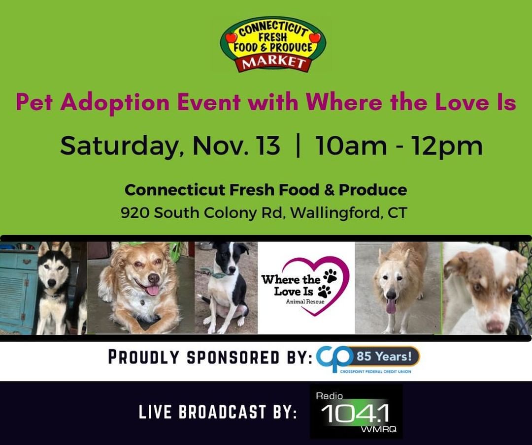 Looking for a furry family member?  Come to our Pet Adoption Event on Saturday, November 13 from 10am-12pm.