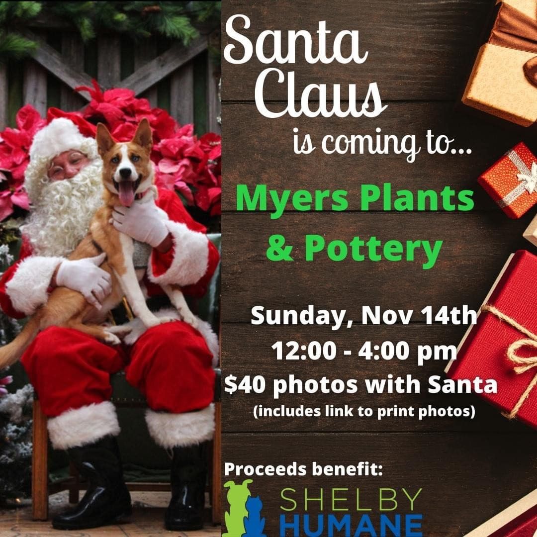 Tomorrow! Photos with Santa! Come out to Myers Plants & Pottery from noon - 4pm. Wouldn’t these make heartwarming Christmas cards?!

See you and your pets tomorrow!