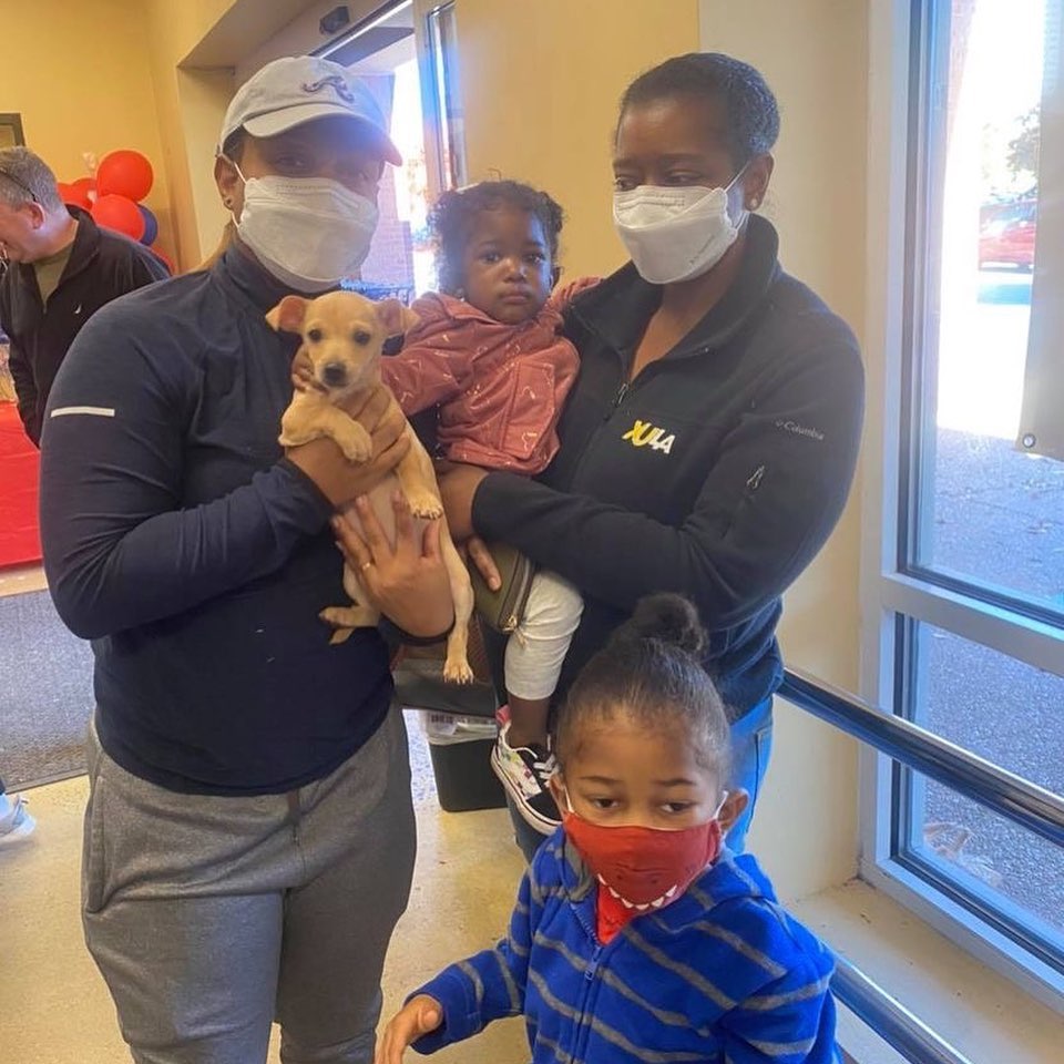 Congratulations to these precious pups!!

Knox, Archie, Bazel, Talia, & Harry 

<a target='_blank' href='https://www.instagram.com/explore/tags/orphanannierescue/'>#orphanannierescue</a>