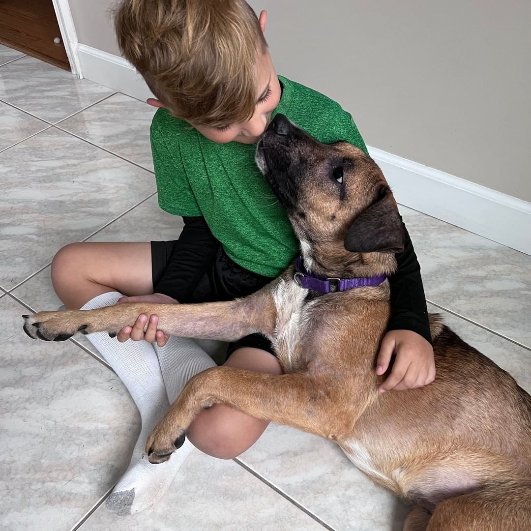 So much love to share! Harper is an approx 6-month-old, 40 lb house-trained Shepherd/Hound mix (best guess!) who is just the sweetest little girl. Her Long Island foster mom says, 