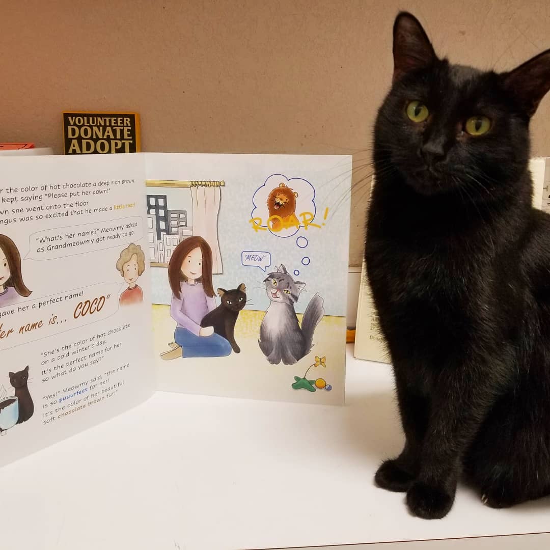 📚 Do you love books about cats? Do you love beautiful illustrations? Do you love heartwarming stories?
Do you love giving gifts that give back?

Then you'll love the book 