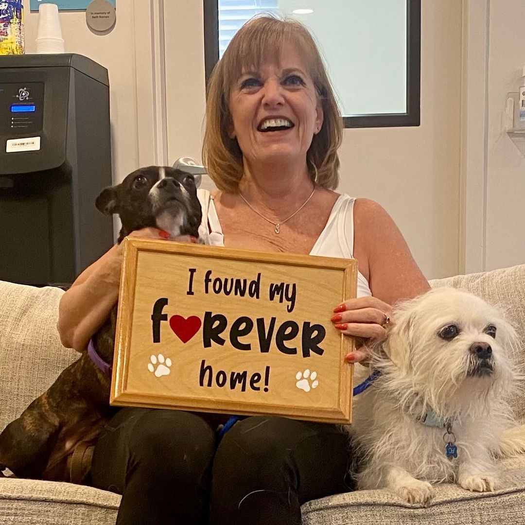 Olive peeks out from behind the sign - she found her new forever home today! <a target='_blank' href='https://www.instagram.com/explore/tags/fflgilbert/'>#fflgilbert</a> <a target='_blank' href='https://www.instagram.com/explore/tags/adoptlove/'>#adoptlove</a>