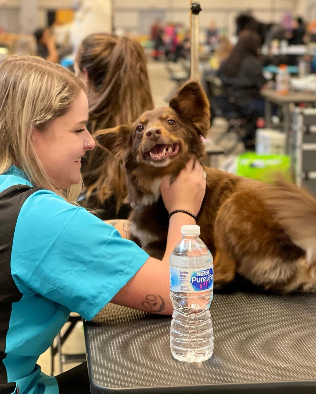 We had an AMAZING weekend with y’all! Thank you to every single one of you who came by, donated, talked with us, and simply made our weekend great — this is why we work so hard. 💗

(All of these kiddos are <a target='_blank' href='https://www.instagram.com/explore/tags/tffalumni/'>#tffalumni</a> or new friends and are not adoptable, but we still wanted to share!) <a target='_blank' href='https://www.instagram.com/explore/tags/cardiganday/'>#cardiganday</a> @wqed @pittsburgh.pets @pittsburghpetexpo @pamperedpawsnclawsgrooming