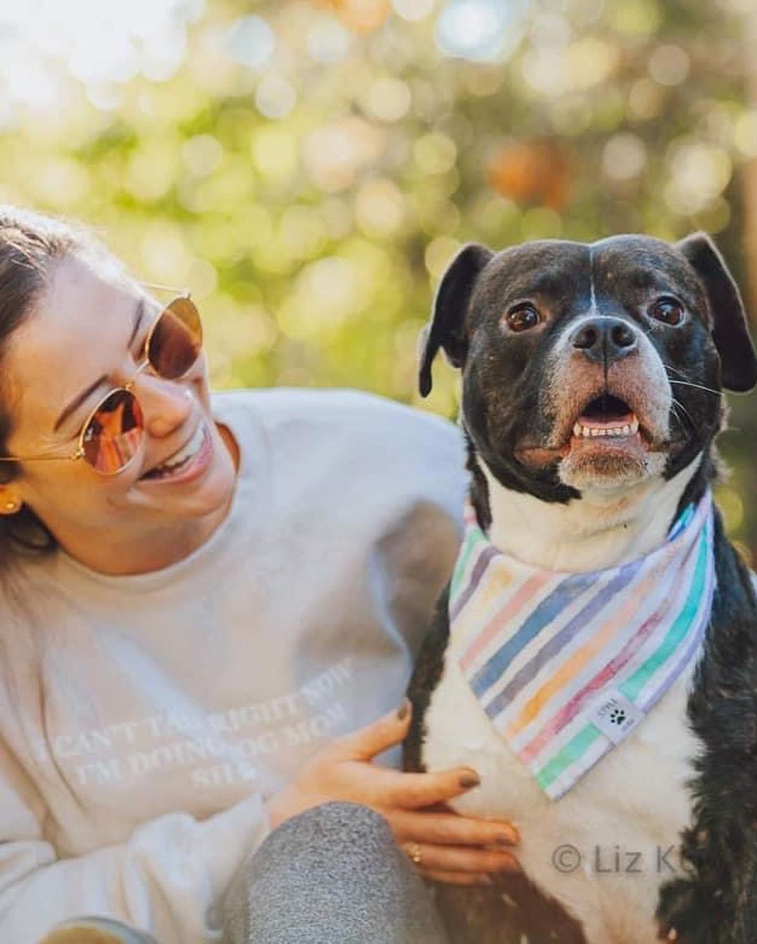 Happy Rosie girl!!! 🌹🥰 Check out these beautiful shots by @rocpetportraits! Swipe for underbite 🐶😜
Rosie will be up for adoption soon! Fill out an app on our website to get ahead of the game!! <a target='_blank' href='https://www.instagram.com/explore/tags/linkinbio/'>#linkinbio</a>