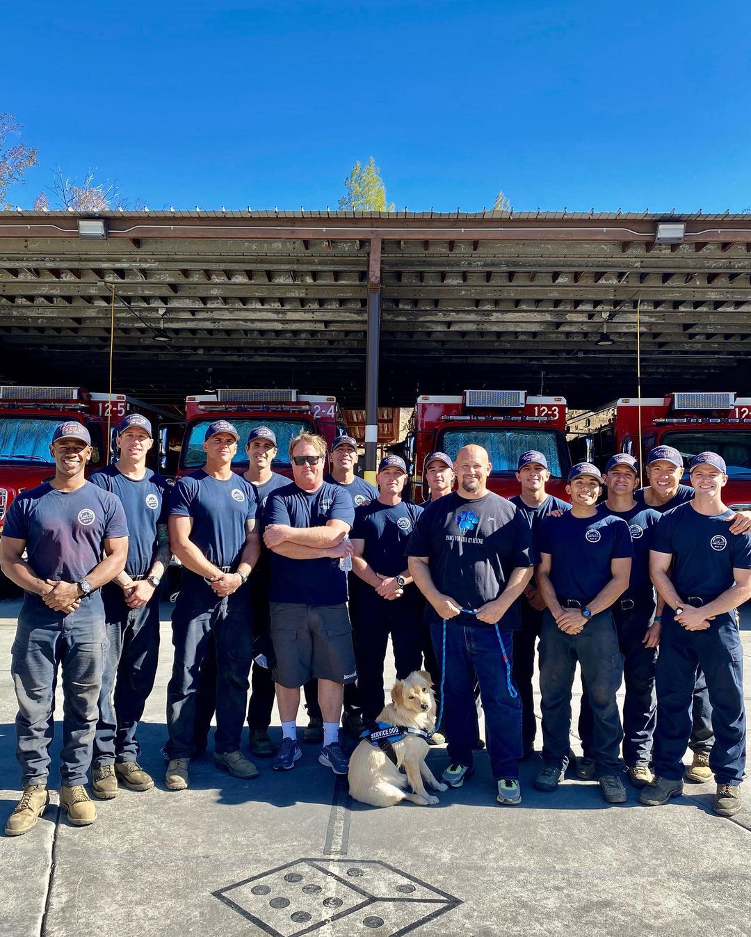 When we first rescued Walter, he was on his way into the shelter in a basket. Our team intervened as we knew he was destined for a better life, but we never imagined this…… Last week Walter was placed as a certified PFL service dog with the Los Angeles County Fire Department, Fire Crew <a target='_blank' href='https://www.instagram.com/explore/tags/12/'>#12</a>.

Thanks to the hard work of our incarcerated trainers at Mule Creek State Prison, and our outstanding trainer Cherie, Walter received specialized training to relieve stress and provide comfort to firefighters on the front lines. Battling wildfires can take an emotional and physical toll on firefighters, but Walter has come to the rescue. 

As the firefighters were being trained to navigate their new service dog, Walter demonstrated his skills performing over 30 commands flawlessly.

Paws For Life K9 Rescue is proud to offer this amazing resource to the County of Los Angeles and continue to find innovative ways to impact the lives of first
responders and the community at large. 

Drop a ❤️ in the comments if you love Walter! 

<a target='_blank' href='https://www.instagram.com/explore/tags/savinglivesoneverylevel/'>#savinglivesoneverylevel</a>
<a target='_blank' href='https://www.instagram.com/explore/tags/servicedog/'>#servicedog</a> <a target='_blank' href='https://www.instagram.com/explore/tags/firedog/'>#firedog</a> <a target='_blank' href='https://www.instagram.com/explore/tags/ladogrescue/'>#ladogrescue</a> <a target='_blank' href='https://www.instagram.com/explore/tags/lafirecamp/'>#lafirecamp</a> <a target='_blank' href='https://www.instagram.com/explore/tags/shelterdogsofinstagram/'>#shelterdogsofinstagram</a> <a target='_blank' href='https://www.instagram.com/explore/tags/prisonreform/'>#prisonreform</a>