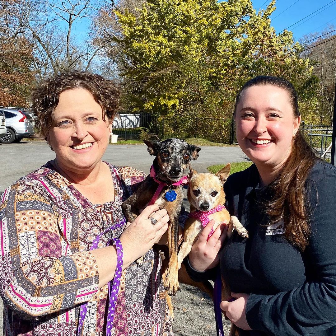 Voo Doo and Rosie, office cat Simone, and Luca all went to their forever homes! <a target='_blank' href='https://www.instagram.com/explore/tags/happilyeverafter/'>#happilyeverafter</a> <a target='_blank' href='https://www.instagram.com/explore/tags/foreverhome/'>#foreverhome</a> <a target='_blank' href='https://www.instagram.com/explore/tags/adoptingsaveslives/'>#adoptingsaveslives</a> <a target='_blank' href='https://www.instagram.com/explore/tags/catsofinstagram/'>#catsofinstagram</a> <a target='_blank' href='https://www.instagram.com/explore/tags/dogsofinstagram/'>#dogsofinstagram</a> <a target='_blank' href='https://www.instagram.com/explore/tags/adoptdontshop/'>#adoptdontshop</a> 🐾🐈🐶