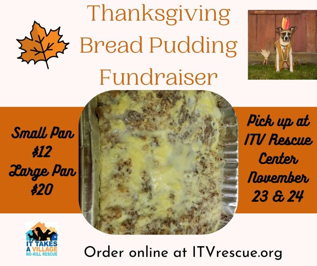 Last week to get your order in for our Bread Pudding fundraiser!! ORDER HERE: https://itvrescue.square.site/