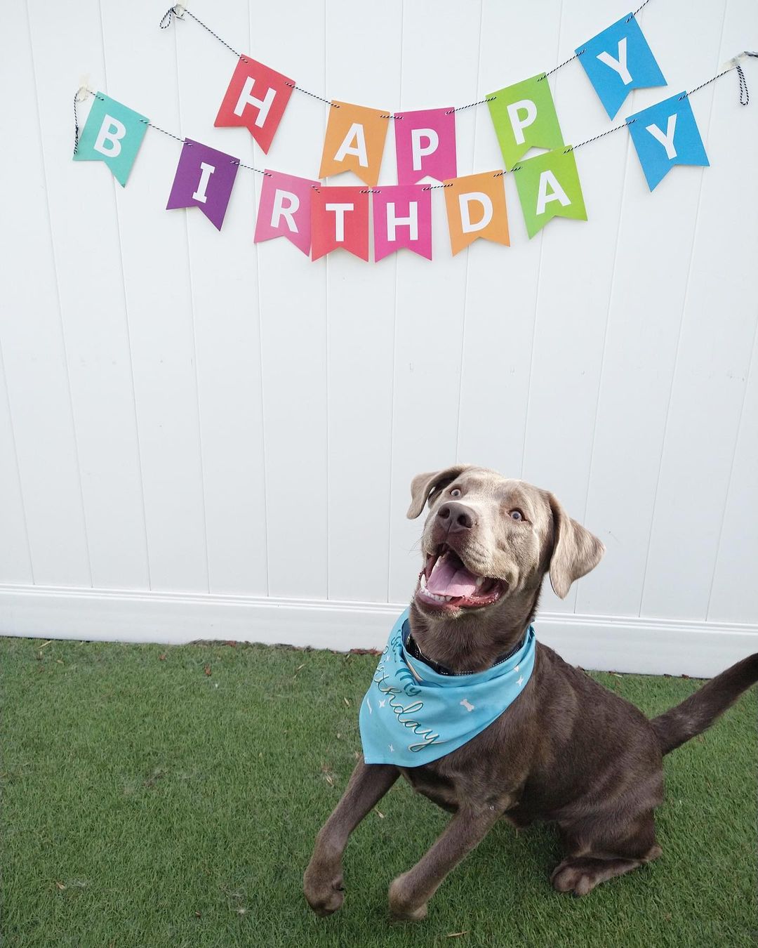 Happy first birthday to Hakoda! 🥳 thanks for spending it with us bud, hope it’s a good one!