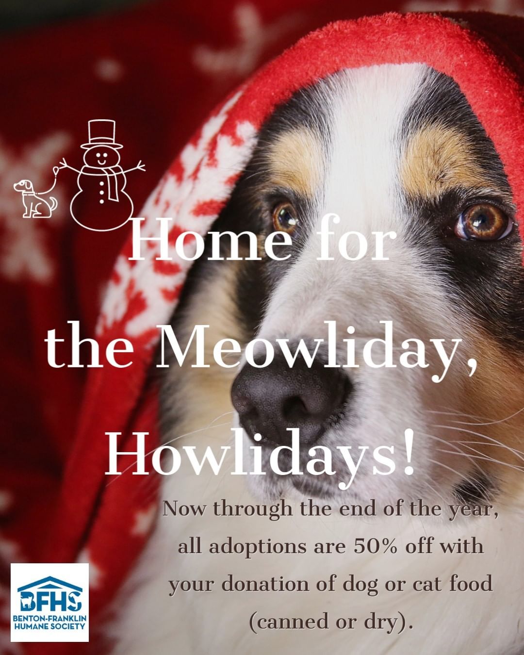 Help us clear the shelter and support our newest arrivals, community pets, and long-term residents.  Now through the end of the year, all adoptions are 50% off with your donation of dog or cat food - whether it's 1 can or 10 bags.  We are so grateful for your support!