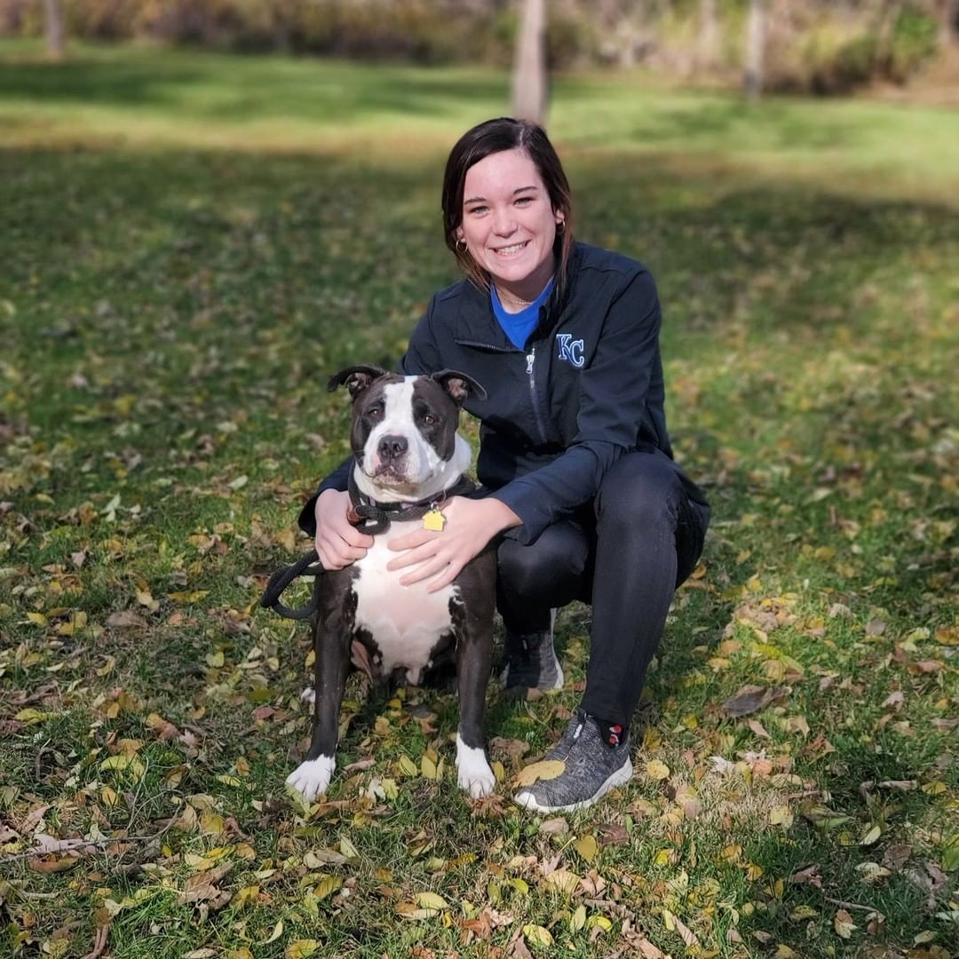 Happy, happy birthday to CBHS' amazing kennel attendant Addison! 🥳 Joining her in her birthday photo is Mariah. Mariah is a very sweet girl who likes being close to her people. She loves being the center of attention and would do best in a home with older siblings because of this. She's very smart and treat motivated- she'd be happy to show you her nice 