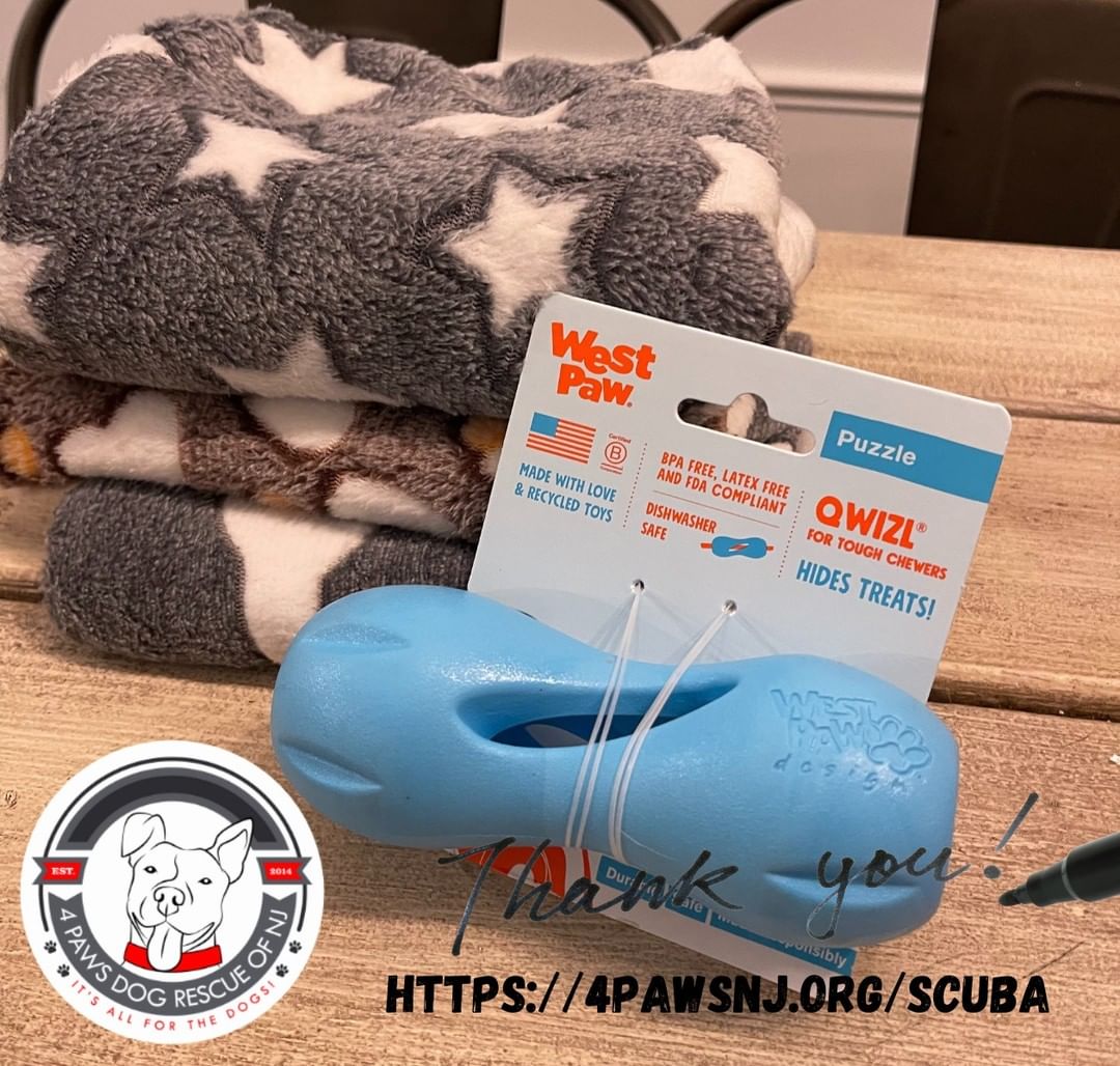 Thank You Cheryl, for your gift items to Scuba.
If you would like to send goodies to Scuba, you can do so from his Amazon wishlist at https://4pawsnj.org/scuba. All items are tax deductible and ship directly to Scuba.