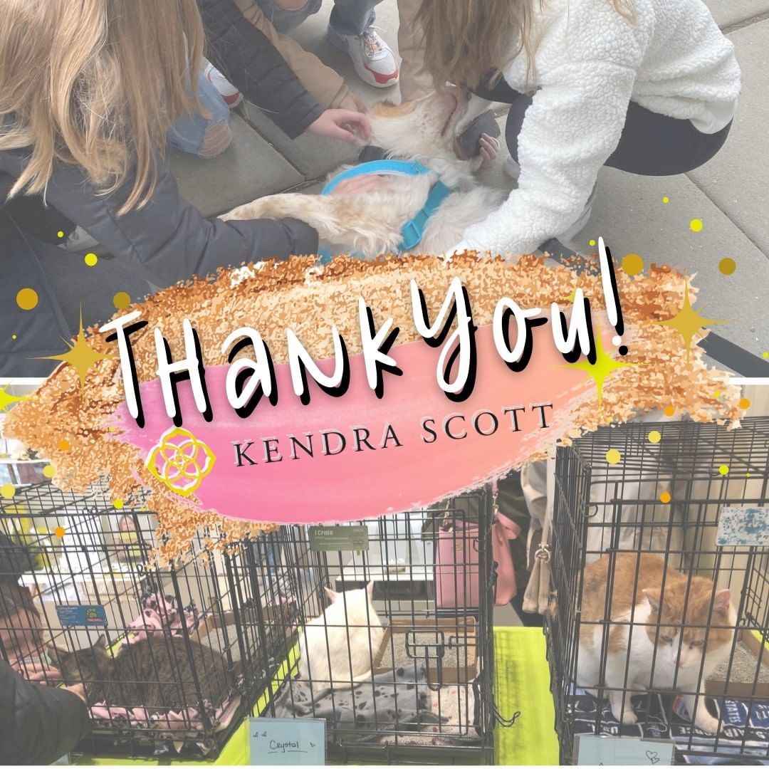 Huge Thank You to the Kendra Scott Team and everyone who stopped out to the Kendra Gives Back event yesterday! Your support means a lot! 

We had a lot of fun and Duncan, Jewel, Crystal, and Amethyst got some well deserved spotlight. 🤞 for some furever homes very soon!