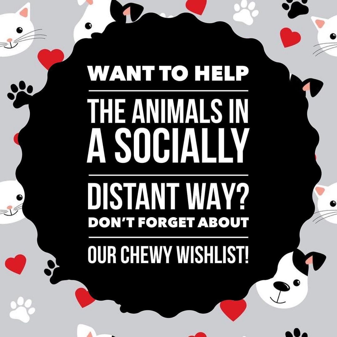 Here is the link to our wishlist: 
https://www.chewy.com/g/paws-along-the-river-humane-society_b71556802
🐶🐱🐾❤️