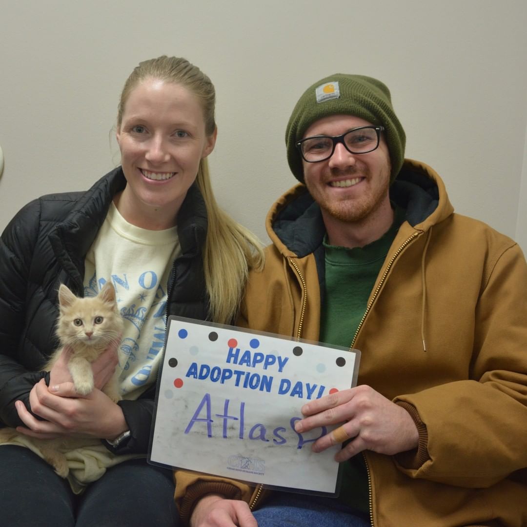 Happy Adoption Day! 🎉 Join us in celebrating all the adoptions that happened over the weekend.